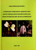 Antropogen təsirlərdən Abşeronun boz qonur torpaqlarının mikobiotasında baş verən dəyişikliklərin qiymətləndirilməsi