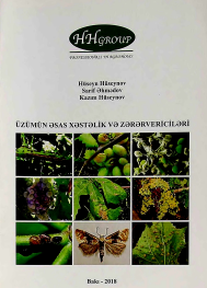 Üzümün əsas xəstəlik və zərərvericiləri