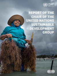 Report of the Chair of The United Nations Sustainable Development Group
