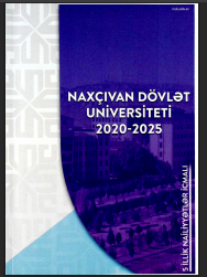 Naxçıvan Dövlət Universiteti 2020-2025. Nailiyyətlər icmali