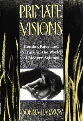 Primate Visions
