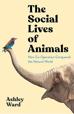 The Social Lives of Animals: How Co-operation Conquered the Natural World