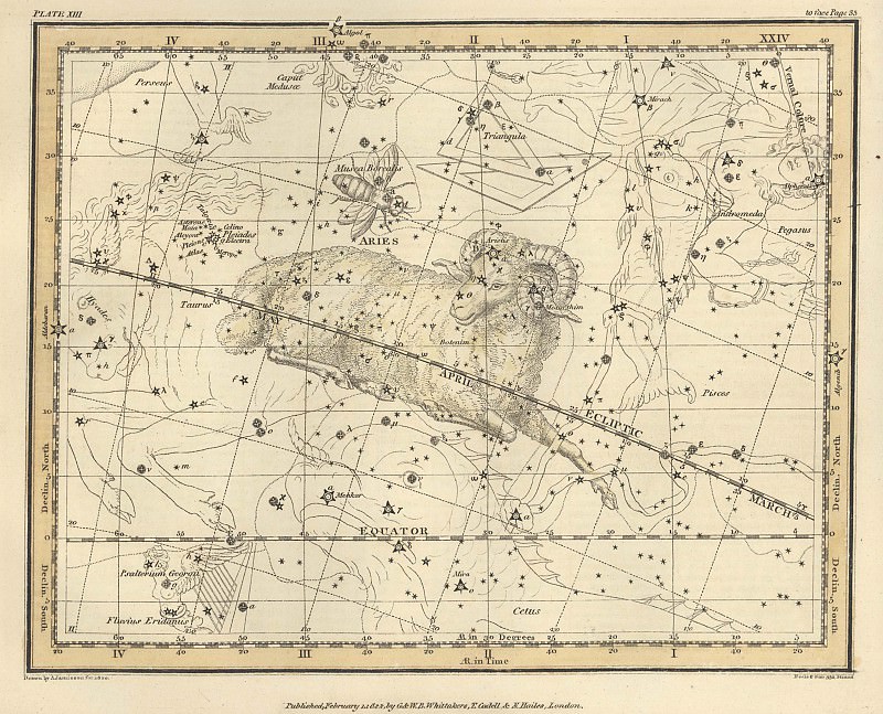 Şimali Milçək, Qoç