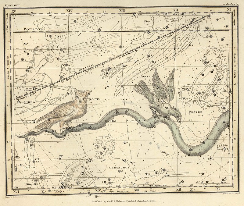 Hidra, Qarğa, Gecə Bayquşu