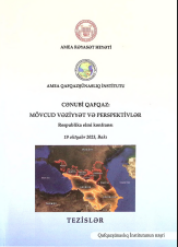 Cənubi Qafqaz: mövcud vəziyyət və perspektivlər. Respublika elmi konfransinın materialları