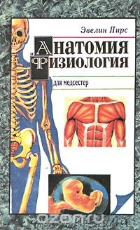 Анатомия и физиология для медсестер