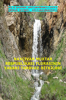 Naxçıvan Muxtar Respublikası florasının yabanı tərəvəz bitkiləri